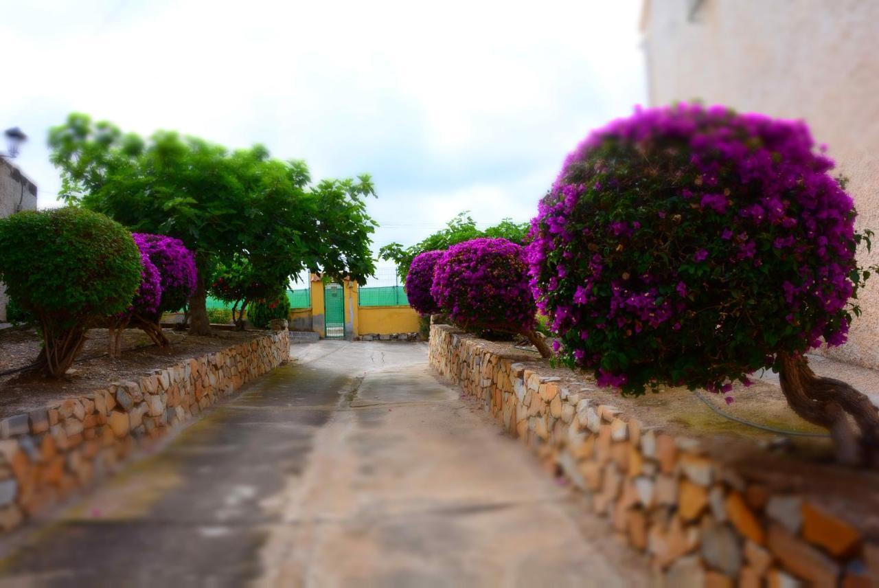 Palmeras, Piscina, Campo De Futbol Y Jardin Privados Масаррон Екстер'єр фото