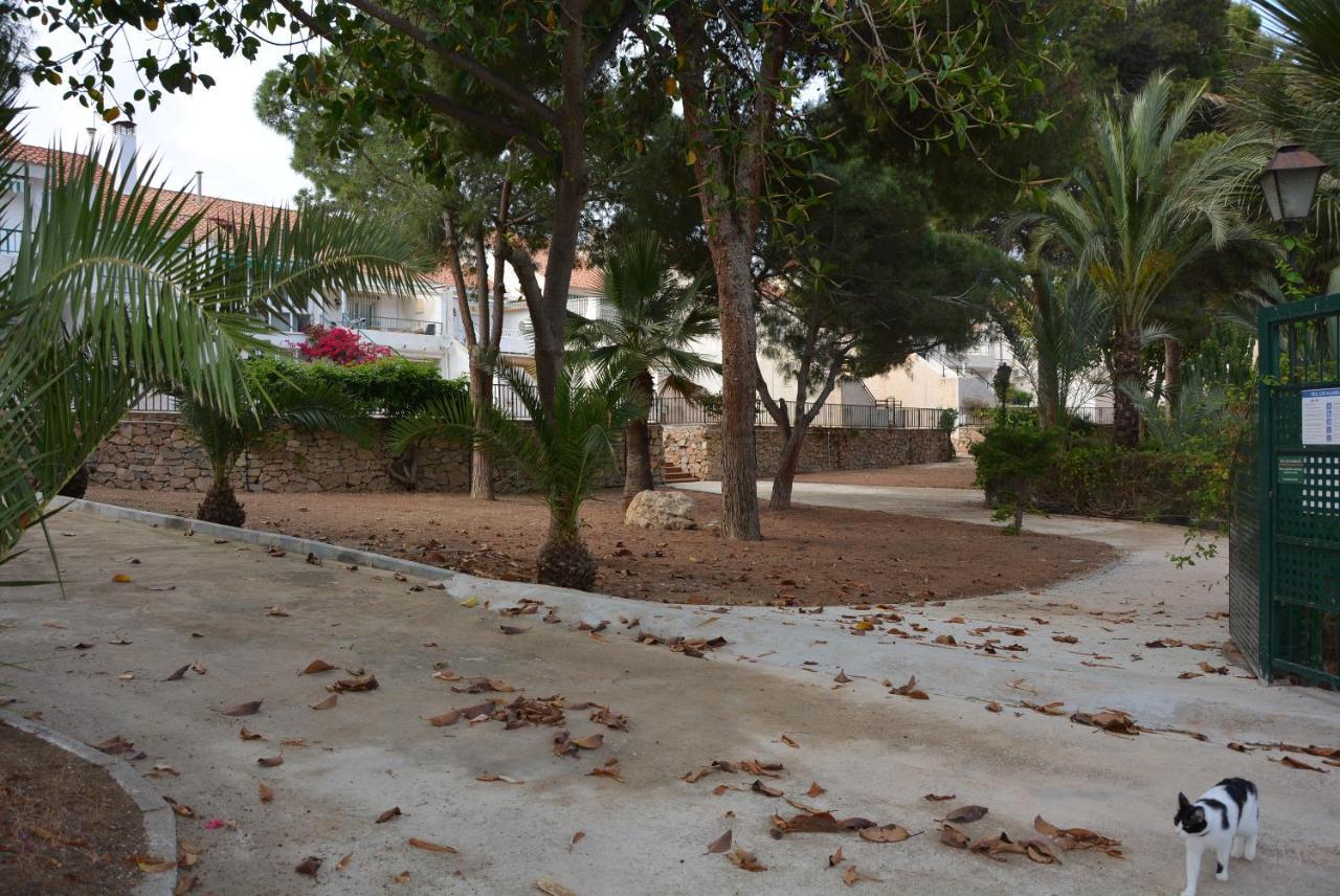 Palmeras, Piscina, Campo De Futbol Y Jardin Privados Масаррон Екстер'єр фото