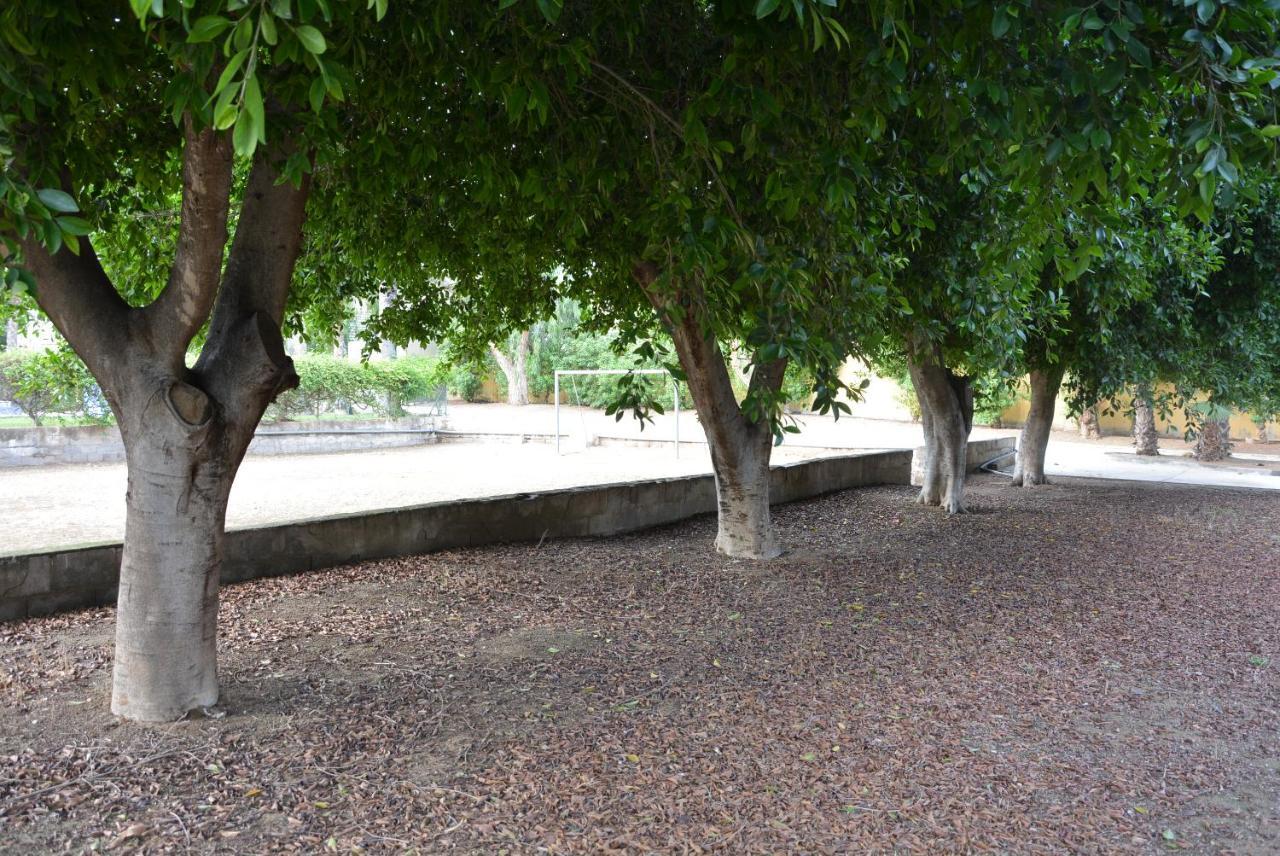 Palmeras, Piscina, Campo De Futbol Y Jardin Privados Масаррон Екстер'єр фото
